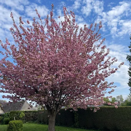 La A La Campagne Angiens